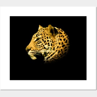 Leopard Posters and Art